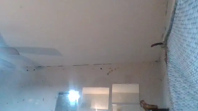 Chat XXX en directo de AidenMcKnight