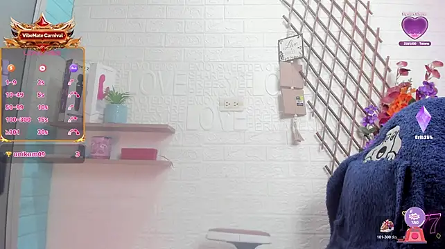 Show webcam de SALOME_KORLAND