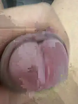 sharry322 Chat XXX live