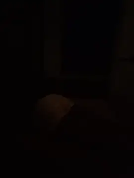 Skywalker-'s Live XXX Chat