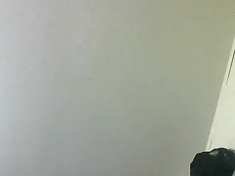 thomas2wood Live XXX-Chat