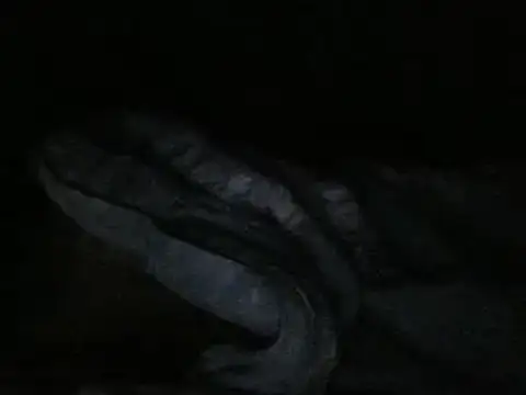 Show Webcam de KingNoir1