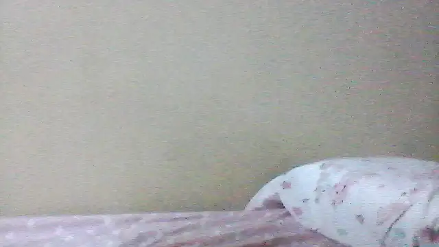 noa23x élő XXX-chatje