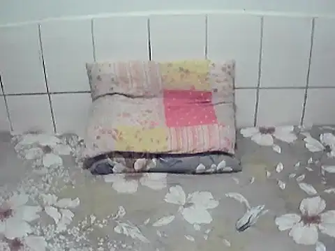 Show de webcam de pierdona