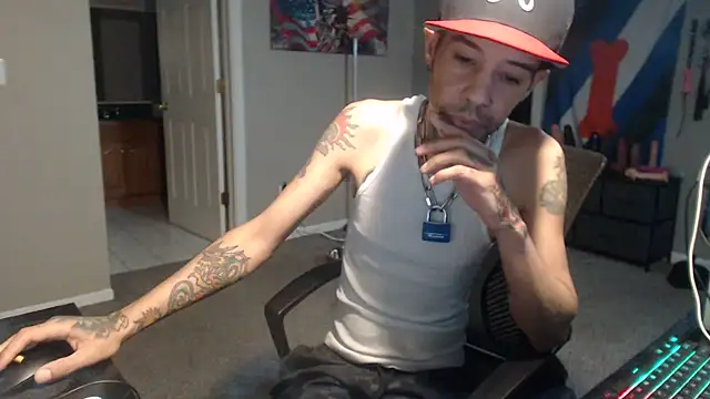 Show webcam de Michigan9000