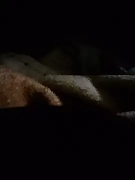 lonelydickpussy's Webcam Show