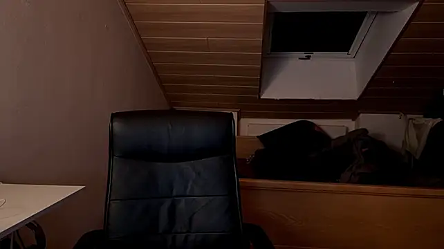 Pertunjukan Kamera Web Bez3ybik
