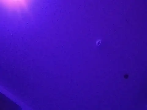 SuxCoxwex: διαδικτυακό σόου στην κάμερα