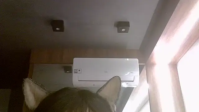 SkinnyKittenn Live XXX chat