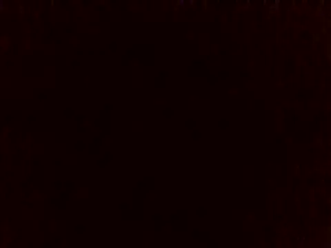 sugarnova254 Chat XXX live