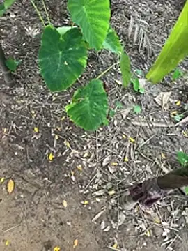 Naughty_Couple3 Chat XXX in diretta