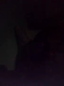 DigCrok live XXX chat