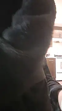 ZeldaSneakyLink Live XXX Chat