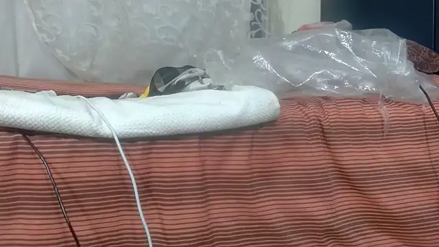 Bunnyxx01's Live XXX Chat