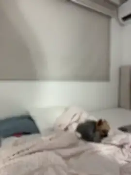 ameliag_ 라이브 XXX 채팅
