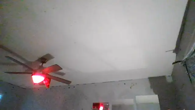 Show webcam de AidenMcKnight