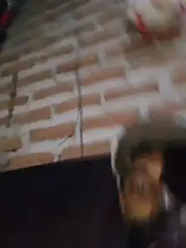 masca_rade Live XXX Chat