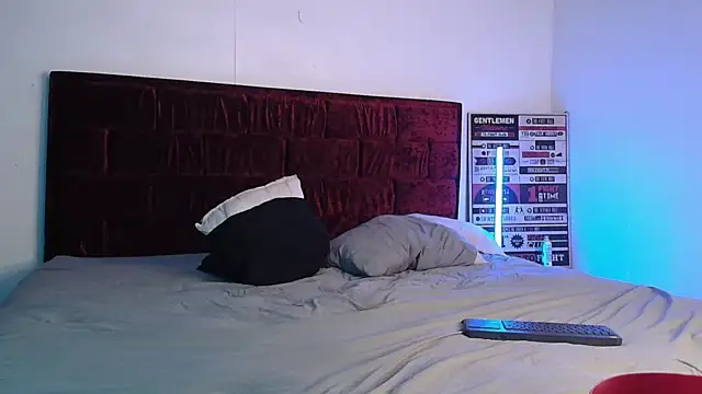Webkamerová show The_Penthouse_boys