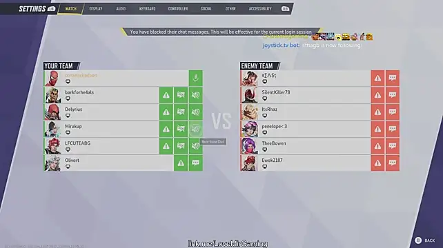 Webkamerová show lovemirgaming