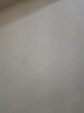 دردشة Alisha_134 الجنسية المباشرة