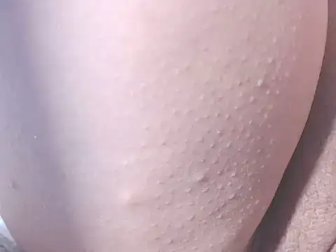 Sembang XXX Secara Langsung thelovecum