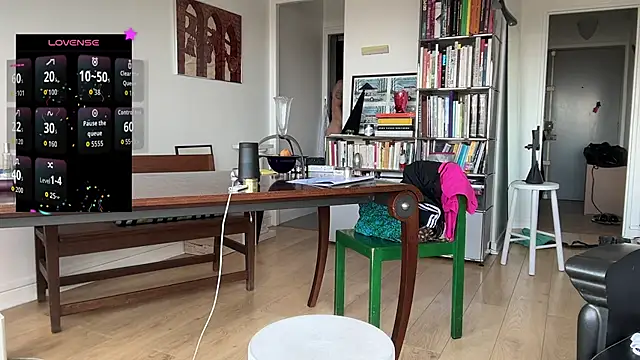 RadBtm Show in webcam