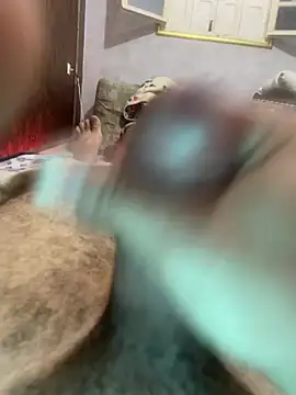 Zbi-3sal webkamerás műsora