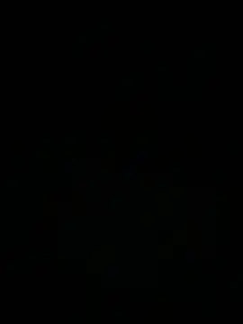 Show Webcam de auds08