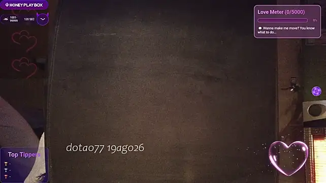 doTao7 웹캠 쇼