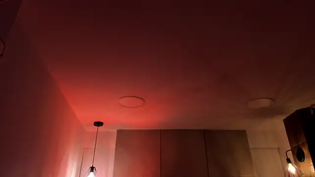 B_Wild Live XXX-Chat