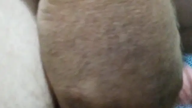 Czat XXX na żywo – justm68