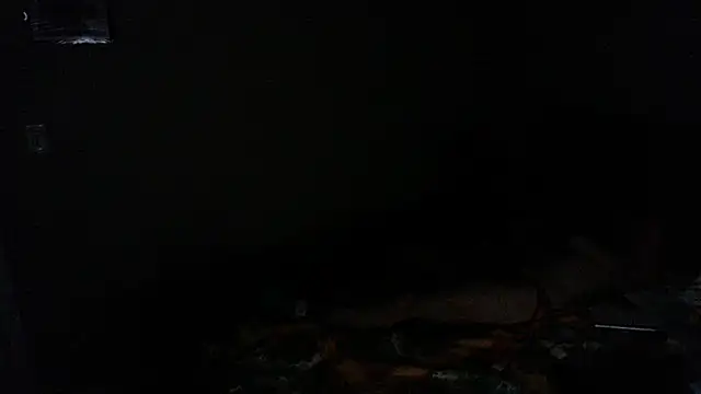 LSDsexslave's Webcam Show