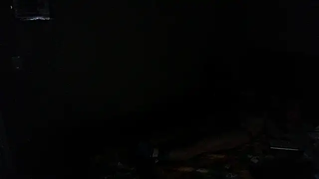 LSDsexslave webkamerás műsora