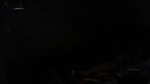 LSDsexslave Show in webcam