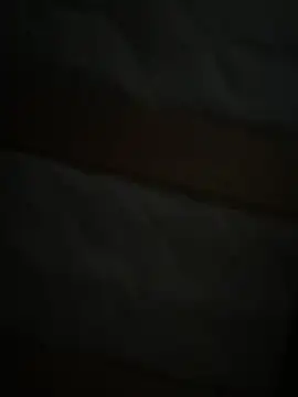 auds08 Show in webcam
