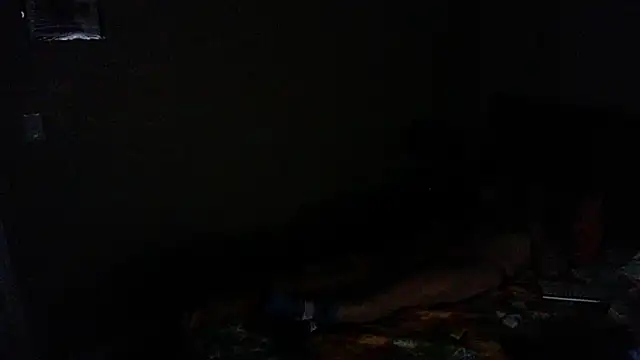 LSDsexslave: διαδικτυακό σόου στην κάμερα
