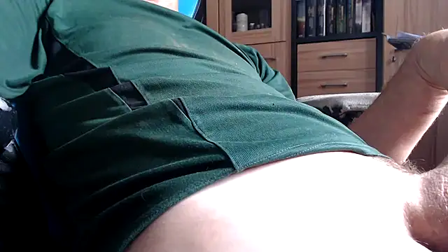 Horwein Webcam show