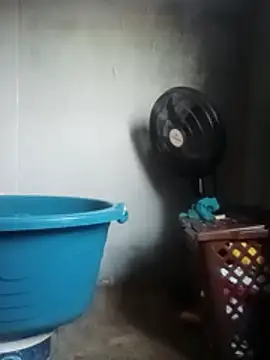 Sxxmann Pertunjukan Webcam