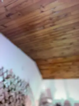 NikkiNix Obrolan Langsung XXX