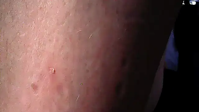 Valdeznuts Show in webcam