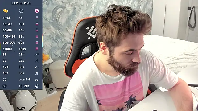 Show webcam de Morlaios