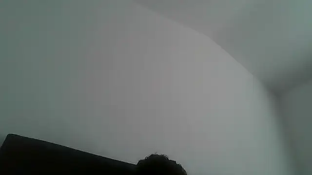 Show de webcam de hung-and-horny