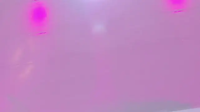 Juliette_nt 라이브 XXX 채팅