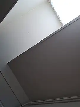 petvarad 现场XXX聊天