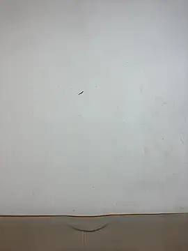 Chat +18 de -OvO- ao vivo