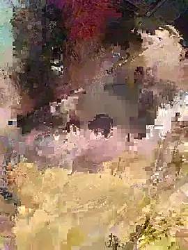 COOL-COOL2 webcam show