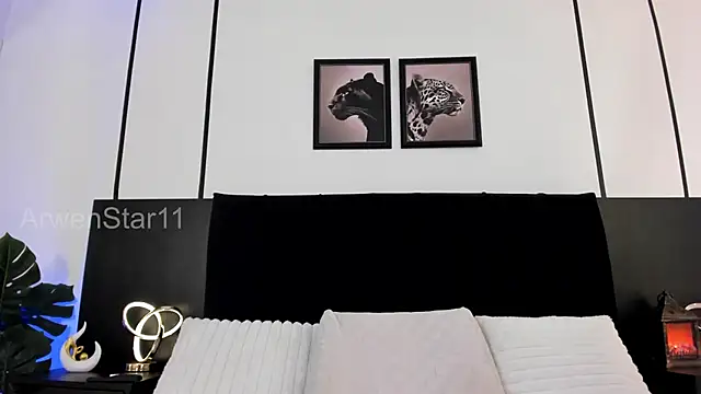 Chat +18 de ArwenStar11 ao vivo