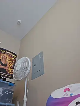AmethystFoxx Chat XXX in diretta
