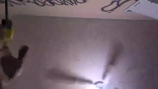 Cnutt310's Webcam Show