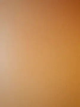 xiaoqingren 网络视讯表演